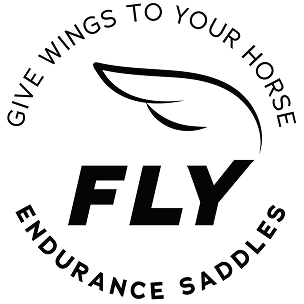 Flyendurance Black Logo